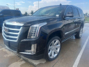 Thumbnail image of 2016 Cadillac Escalade at CITIZEN AUTO FINANCE INC