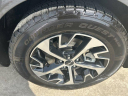 Thumbnail image of 2023 Kia Sportage at 7 EM Used