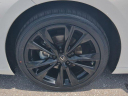 Thumbnail image of 2022 Lexus ES 350 at Germain Honda of Naples NEW