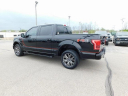 Thumbnail image of 2016 Ford F-150 at Wetzel Ford
