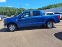 Thumbnail image of 2023 Ford F-150 at Teague Ford Lincoln