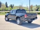 Thumbnail image of 2023 Toyota Tacoma at Szott I96 Chrysler Dodge Jeep Ram