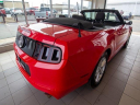 Thumbnail image of 2014 Ford Mustang at Todd Wenzel Buick GMC of Davison