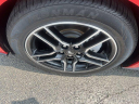 Thumbnail image of 2022 Ford Mustang at GillespieFord - New