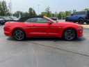Thumbnail image of 2022 Ford Mustang at GillespieFord - New