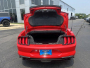 Thumbnail image of 2022 Ford Mustang at GillespieFord - New