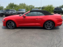 Thumbnail image of 2022 Ford Mustang at GillespieFord - New