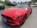 Thumbnail image of 2022 Ford Mustang at GillespieFord - New