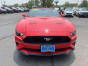 Thumbnail image of 2022 Ford Mustang at GillespieFord - New