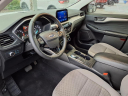 2022 Ford Escape SE at Mccarthy Ford