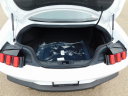 Thumbnail image of 2025 Ford Mustang at Wetzel Ford