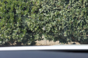 Thumbnail image of 2025 Mazda CX-50 Hybrid at Browning Mazda