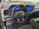 Thumbnail image of 2024 Ford F-150 at Brighton Ford