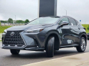 Thumbnail image of 2025 Lexus NX 350 at LexusRivercenter of Covington, KY