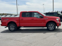 Thumbnail image of 2017 Ford F-150 at Lasco Ford