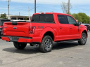 Thumbnail image of 2017 Ford F-150 at Lasco Ford