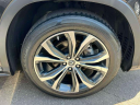 Thumbnail image of 2022 Lexus RX 350 at Lexus of Freeport