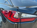 Thumbnail image of 2022 Lexus RX 350 at Lexus of Freeport