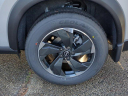Thumbnail image of 2025 Nissan Rogue at KellyNissan CDM