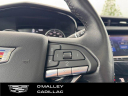 Thumbnail image of 2024 Cadillac XT6 at O'Malley Honda