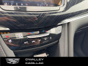 Thumbnail image of 2024 Cadillac XT6 at O'Malley Honda