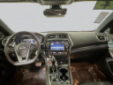 Thumbnail image of 2023 Nissan Maxima at Toyota of Tampa Bay NEW
