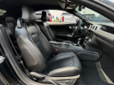 Thumbnail image of 2018 Ford Mustang at Lasco Ford