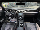 Thumbnail image of 2018 Ford Mustang at Lasco Ford