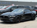 Thumbnail image of 2018 Ford Mustang at Lasco Ford