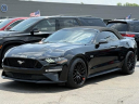 Thumbnail image of 2018 Ford Mustang at Lasco Ford