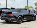Thumbnail image of 2018 Ford Mustang at Lasco Ford