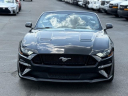 Thumbnail image of 2018 Ford Mustang at Lasco Ford