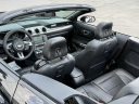 Thumbnail image of 2018 Ford Mustang at Lasco Ford