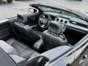 Thumbnail image of 2018 Ford Mustang at Lasco Ford