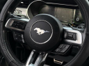 Thumbnail image of 2018 Ford Mustang at Lasco Ford