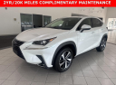 Thumbnail image of 2020 Lexus NX 300h at Johnson Lexus Of Durham