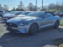 Thumbnail image of 2023 Ford Mustang at Taylor Chevrolet