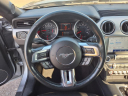 Thumbnail image of 2023 Ford Mustang at Taylor Chevrolet