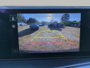 Thumbnail image of 2025 Kia Sorento at OrlandoKiaNorth - NEW