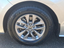 Thumbnail image of 2021 Toyota Sienna at Faulkner Toyota Trevose