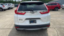 2019 Honda CR-V LX at Tom Roush Mazda - NEW