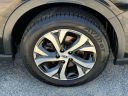 Thumbnail image of 2022 Subaru Outback at South Shore Kia