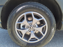 Thumbnail image of 2023 Ford Bronco Sport at Autosavvy Las Vegas