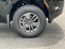 Thumbnail image of 2025 Nissan Frontier at Route 130 Chrysler Jeep Dodge