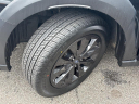 Thumbnail image of 2024 Subaru Outback at Harry's On The Hill