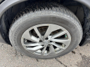 Thumbnail image of 2014 Nissan Rogue at ZARA AUTO SALES INC