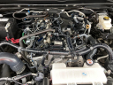 Thumbnail image of 2024 Toyota Tacoma at Cavender Toyota