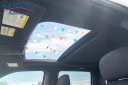 Thumbnail image of 2019 Ford F-150 at ZAMORA AUTO, LLC