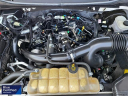 Thumbnail image of 2020 Ford F-150 at David Wilsons Villa Ford