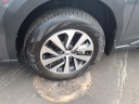 Thumbnail image of 2024 Subaru Outback at Riverside Ford